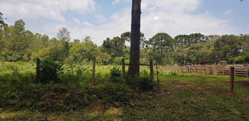 Imagem 1 de 6 de Chácara Para Venda Em Ponta Grossa, Colonia Dona Luiza - 144_2-1102965