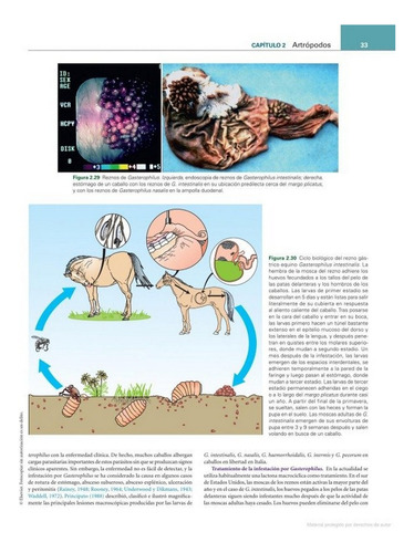 Bowman: Parasitología Para Veterinarios 11ª Ed