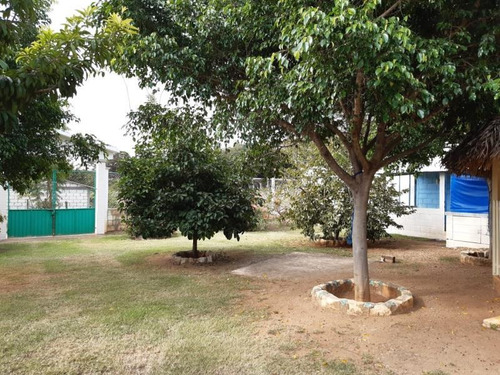 Imagen 3 de 6 de Rancho En Venta Villa La Trinitaria