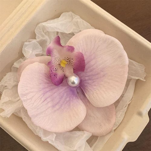 Pinza Para El Pelo Con Forma De Mariposa Orquídea, Pinza Par