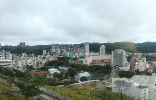 Imagem 1 de 24 de Apartamento À Venda, 50 M² Por R$ 270.000,00 - Jardim Liú - Juiz De Fora/mg - Ap1219