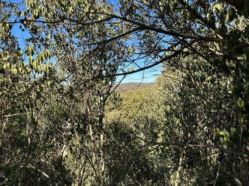 Remato Tres Terrenos En Huerta Grande, Sierras De Cordoba