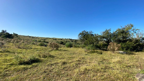 Imagen 21 de 30 de Se Vende Campo De 77 Has En Maldonado. A Pocos Km De Aiguá En Zona De Ruta 39. Ubicación Privilegiada!