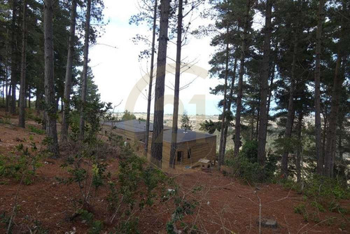 Terreno Tunquén: Naturaleza Y Vista Al Mar