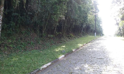 Imagem 3 de 6 de Terreno Residencial À Venda, Santa Inês, Caieiras. - Te0246