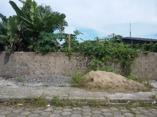 Imagem 2 de 5 de Terreno Murado Á 700 Metros Do Mar Em Itanhaém Sp - 3933 Npc