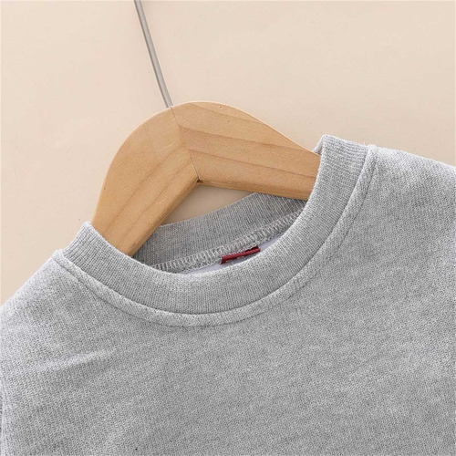 Conjunto Niño Sudadera Con Efecto De Doble Capa Y Pantalones Gris 2-3 Años