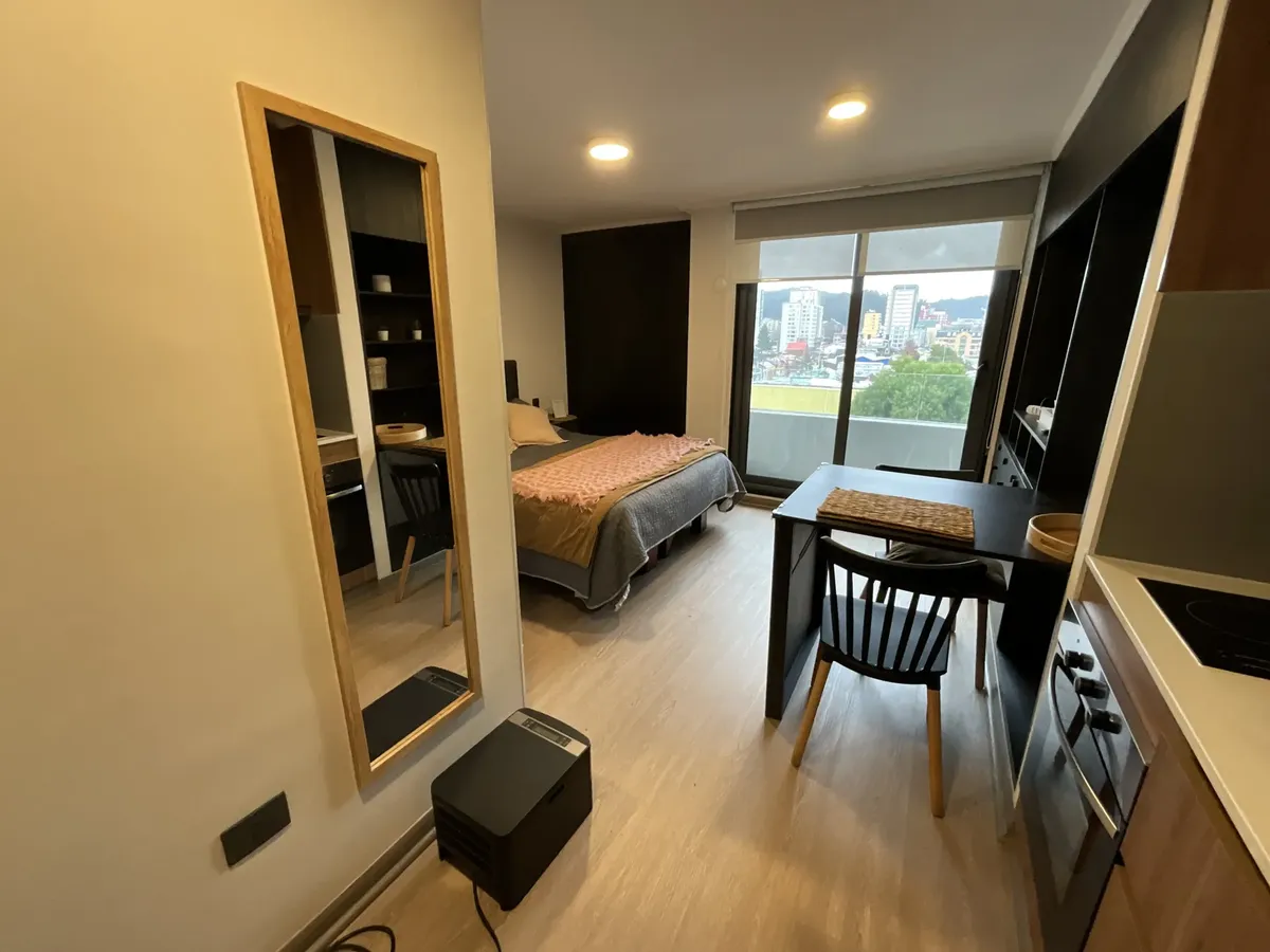 Imagen 4 de 11 de Arriendo Depto. Studio Amoblado 1d/1e/,centro De Concepción