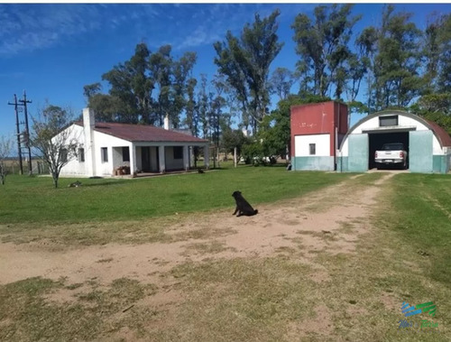 Campo Arrocero-ganadero 1.636 Has Sobre Ruta