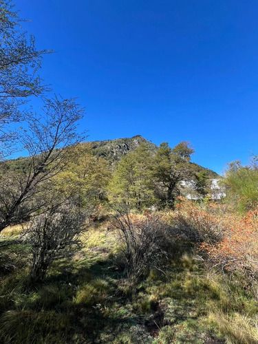Parcela En La Precordillera Malalcahuello