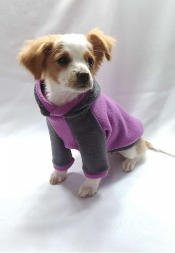 Imagen 1 de 10 de Buzo Polar Perros Cachorros Micro Toy Pincher