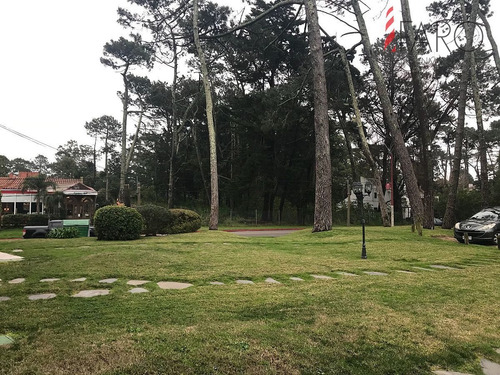 Imagen 3 de 15 de Apartamento Dúplex En Pedragosa Sierra 2 Dormitorios Con Parrillero - Punta Del Este Pedragosa Sierra