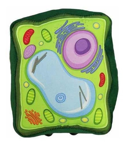 Peluche Célula Vegetal Giantmicrobes