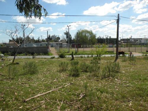 Vendo Terreno Sobre Esquina En Lugar Alto Ideal P/construir Vivienda O Galpon - Calle De Asfalto - 094 386 264 - 361 M2