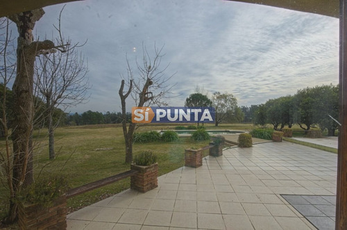 Imagen 14 de 30 de Chacra En Venta - Camino Cerro Eguzquiza