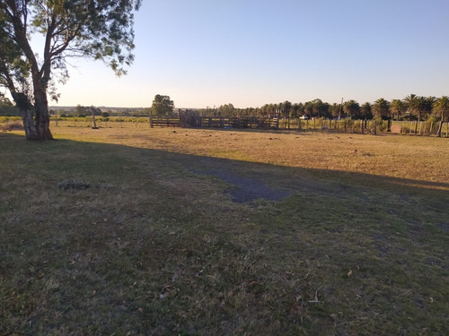 15 Has En Solis Grande, Departamento De Maldonado