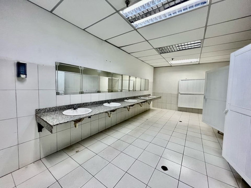 Imagen 11 de 20 de Se Alquila Piso Industrial 1.750m2 Los Ruices