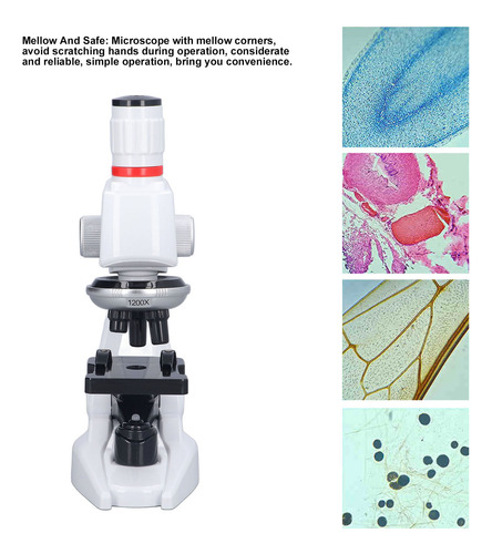 Microscopio De Niños Ópticos 1200x Con Diapositiva