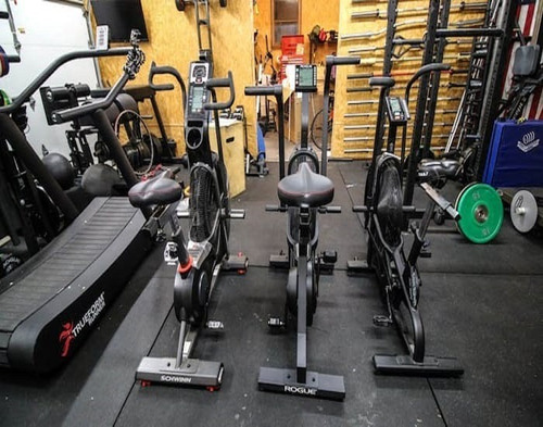 Imagen 1 de 1 de Home Fan Assault Air Echo Bike, Club Commercial Gym Master E
