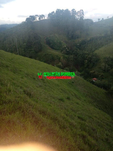 Imagem 15 de 15 de Belo Sítio Em Marmelópolis - Mg - 1247