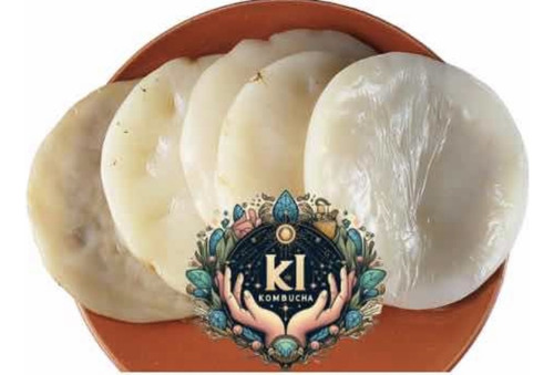 Scoby, Té De Arranque Para Kombucha Orgánica