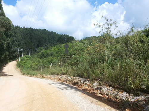 Chácara A Venda No Bairro Centro Em Bocaiúva Do Sul - Pr. - 371-1