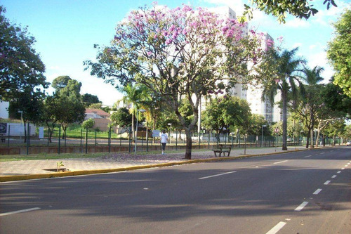Imagem 4 de 10 de Terreno À Venda, 782 M² Por R$ 2.350.000,00 - Vila Santa Maria - Araçatuba/sp - Te0007