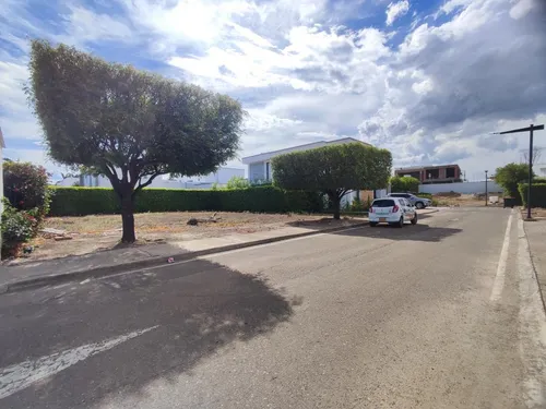 Lote En Venta En Bocono. Cod V28250