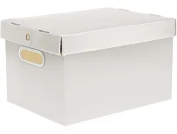 Comprar Caixa Organizadora Prontobox Branca Polycart Grande Unidade Cor Branco no Mercado Livre