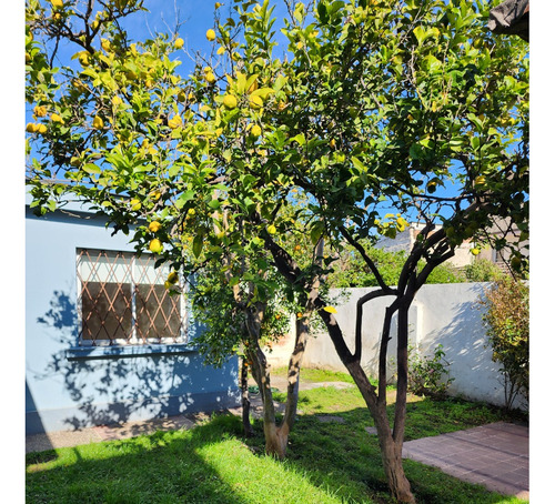 Comoda Casa Remodelada