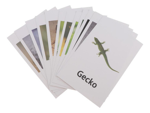 60x Montessori Juguetes De Animales De Con Tarjetas A