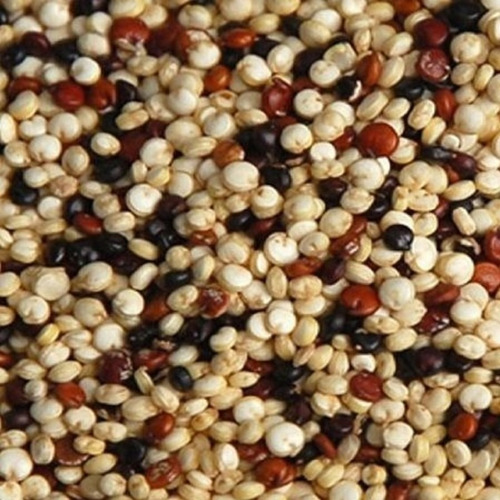 Quinoa Mix Em Grãos - Branca Vermelha E Preta - 500g