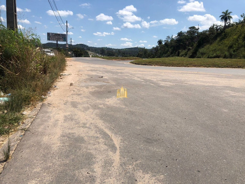 Imagem 2 de 14 de Terreno Na Br-040 - Te00506 - 70736923