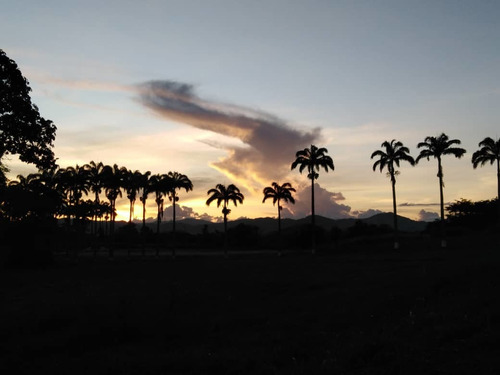 Imagen 13 de 20 de Finca En Carabobo Bejuma Aa