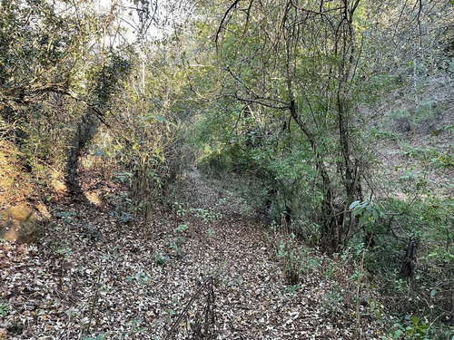 Terreno En Venta En Santa Rosa Con Acceso Vehicular Y Ojo De