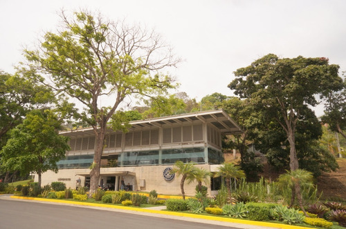 Parcela Cementerio  Del Este Dos Puestos,  Excelente Ubicación . Solvente.a Pocos Metros De Edificio De Administración.