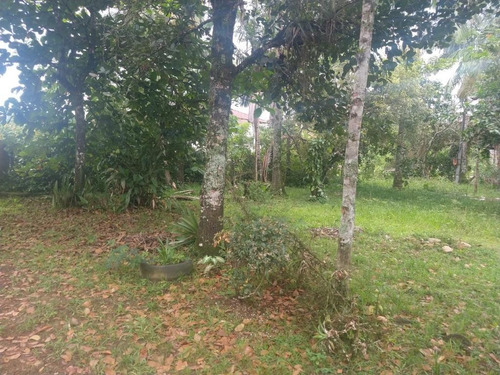 Charmosa Chácara Localizada Na Vila Das Palmeiras - Ch0139
