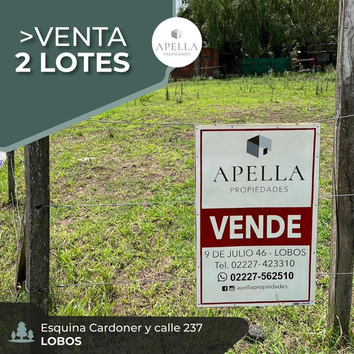 Venta - 2 Lotes Juntos