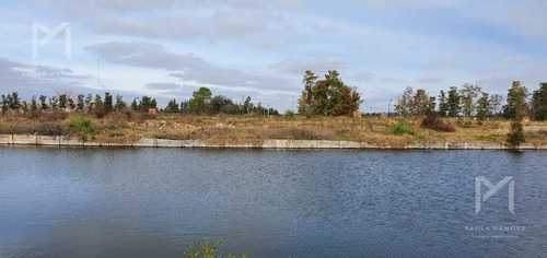 Imagen 6 de 21 de Venta - Lote - Terreno - A La Laguna - Barrio Laguna Grande - Villanueva - Tigre