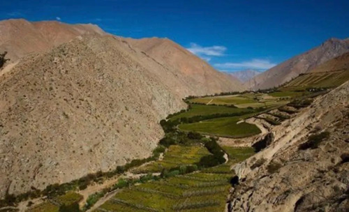 Alcohuaz Valle Elqui Borde Rio 1.9 Ha (121502)