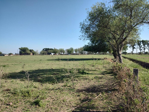 Imagen 11 de 17 de Campo - Timbues Jose Maria
