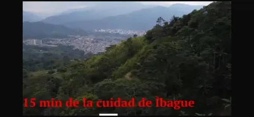 Venta De Finca Agropecuaria En La Martinica, Ibagué
