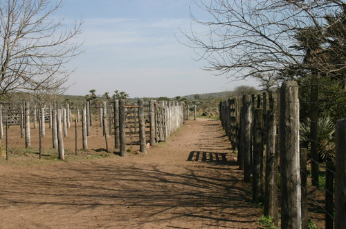 Imagen 5 de 11 de Campo Ganadero De 4100 Hectareas En San Pedro Norte, Provincia De Cordoba