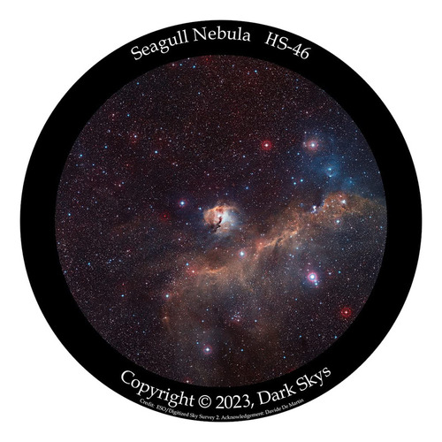 Disco Hs-46 Segull Nebula Star Para The Homestar Flux