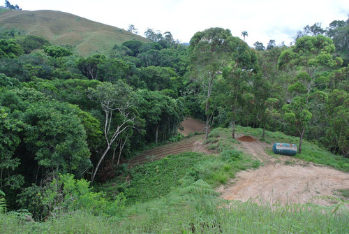 Imagen 2 de 8 de Terreno Carrizal - Sector La Urupagua (castillos Del Bosque Llano Alto)