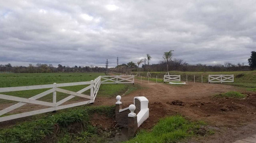 Imagen 5 de 8 de Sarmiento Chico Loteo Venta En Lujan