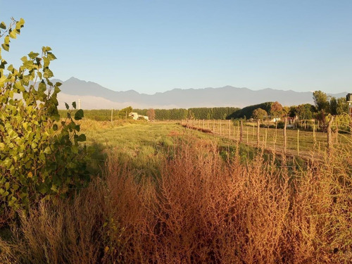 Venta | Terreno | Vista Flores | Tunuyán | Valle De Uco | 2.178 M2