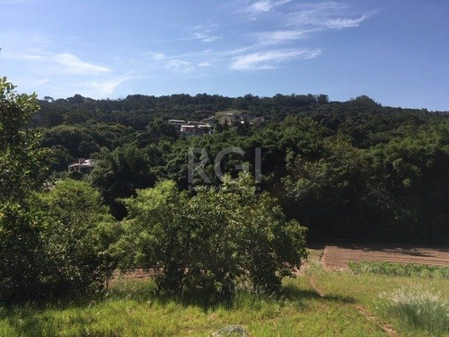 Area Em Vila Nova - Lu430623