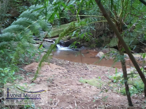 Imagem 8 de 15 de Sítio Em Palmares - Paty Do Alferes - 3401