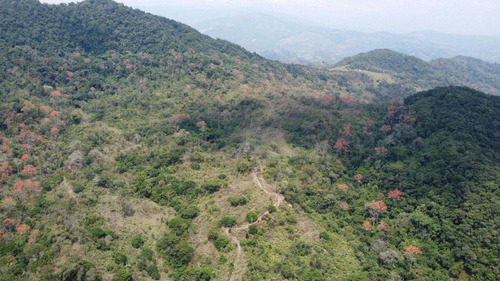Imagen 30 de 30 de Finca Ganadera En Venta Táchira